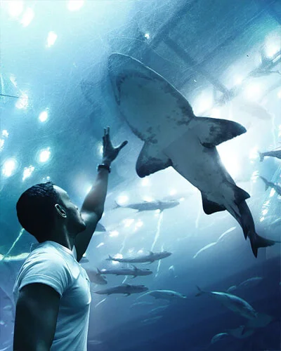 Dubai Mall Aquarium in Dubai